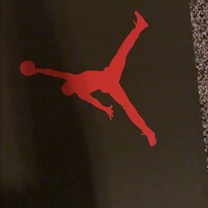 Travis Scott Jordan 6